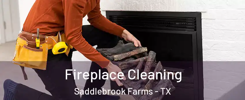 Fireplace Cleaning Saddlebrook Farms - TX