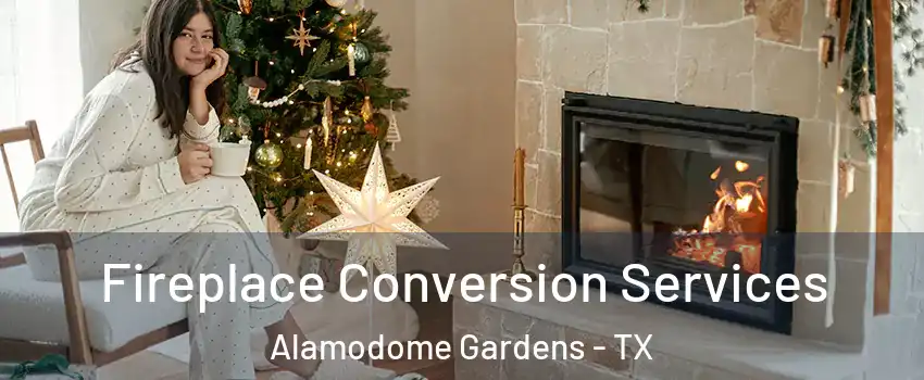 Fireplace Conversion Services Alamodome Gardens - TX