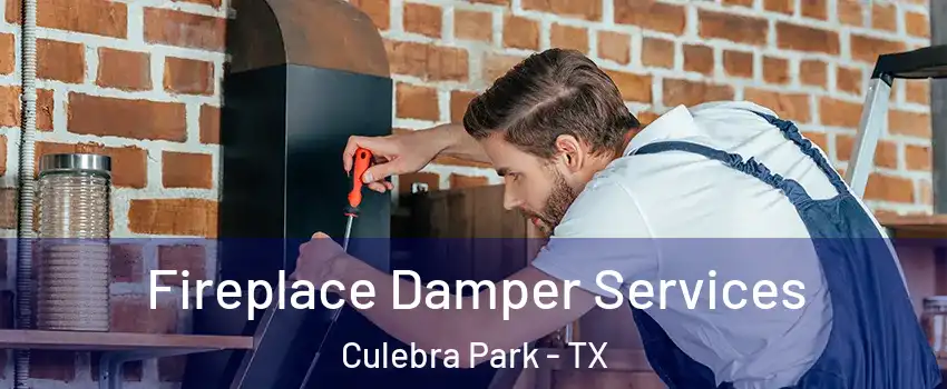 Fireplace Damper Services Culebra Park - TX