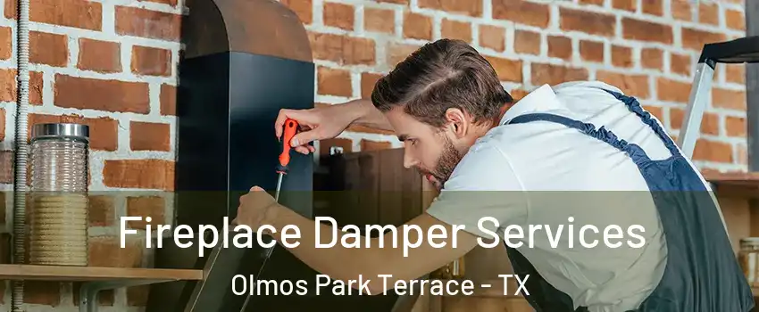 Fireplace Damper Services Olmos Park Terrace - TX
