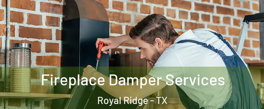 Fireplace Damper Services Royal Ridge - TX
