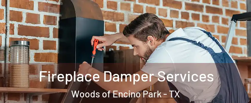 Fireplace Damper Services Woods of Encino Park - TX