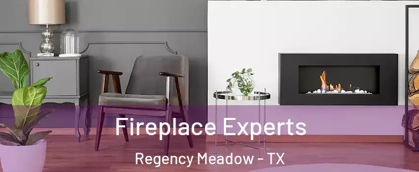 Fireplace Experts Regency Meadow - TX