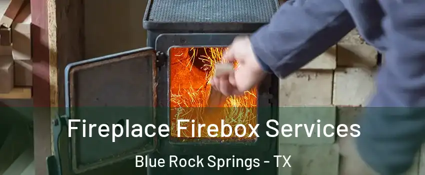Fireplace Firebox Services Blue Rock Springs - TX