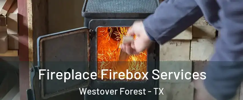 Fireplace Firebox Services Westover Forest - TX