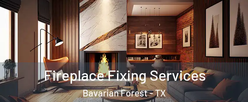 Fireplace Fixing Services Bavarian Forest - TX