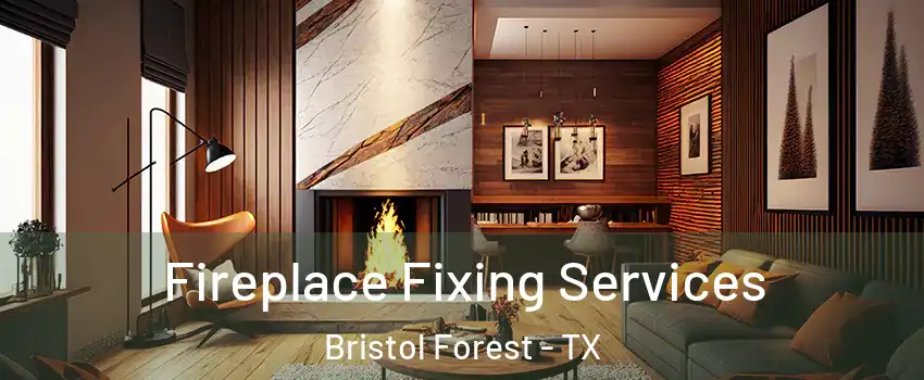 Fireplace Fixing Services Bristol Forest - TX