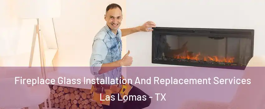 Fireplace Glass Installation And Replacement Services Las Lomas - TX