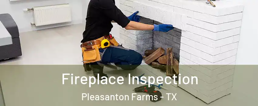 Fireplace Inspection Pleasanton Farms - TX