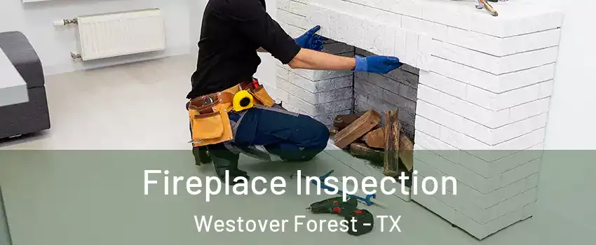 Fireplace Inspection Westover Forest - TX