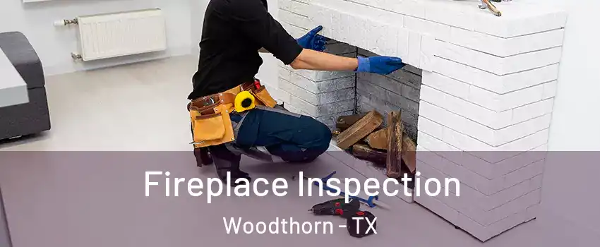 Fireplace Inspection Woodthorn - TX