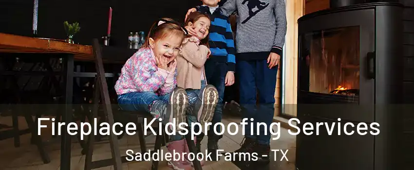 Fireplace Kidsproofing Services Saddlebrook Farms - TX