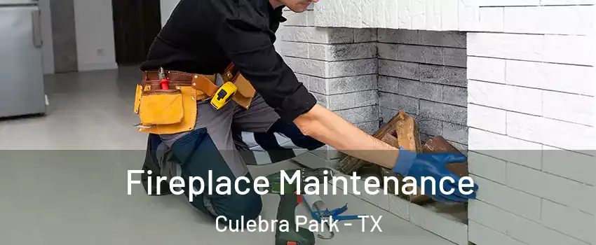 Fireplace Maintenance Culebra Park - TX