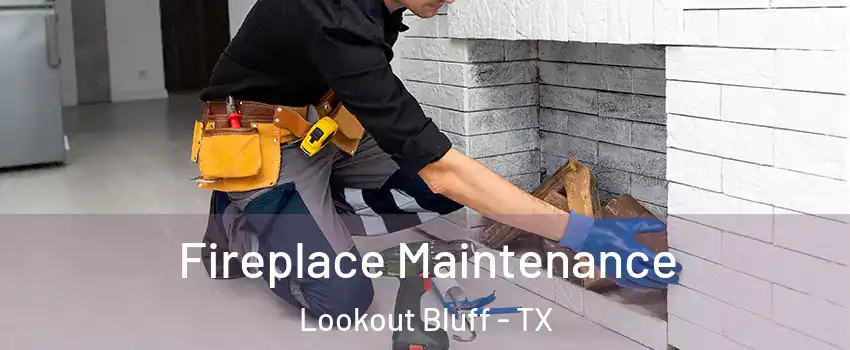 Fireplace Maintenance Lookout Bluff - TX