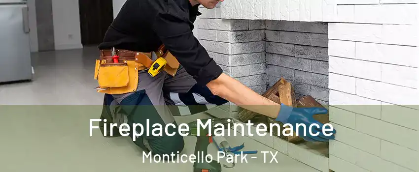 Fireplace Maintenance Monticello Park - TX