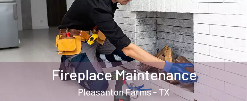 Fireplace Maintenance Pleasanton Farms - TX