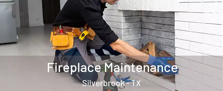 Fireplace Maintenance Silverbrook - TX