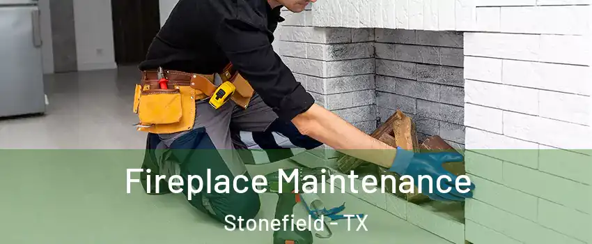 Fireplace Maintenance Stonefield - TX