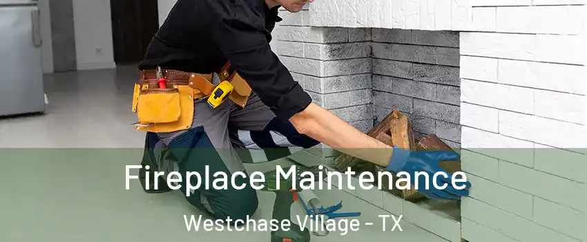 Fireplace Maintenance Westchase Village - TX
