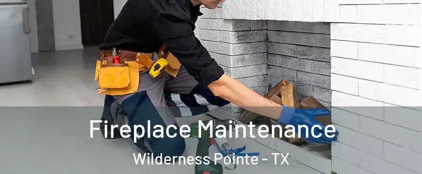 Fireplace Maintenance Wilderness Pointe - TX