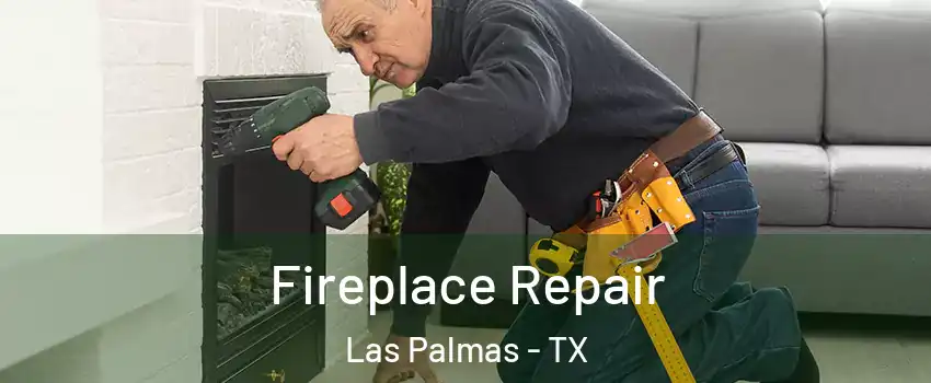 Fireplace Repair Las Palmas - TX