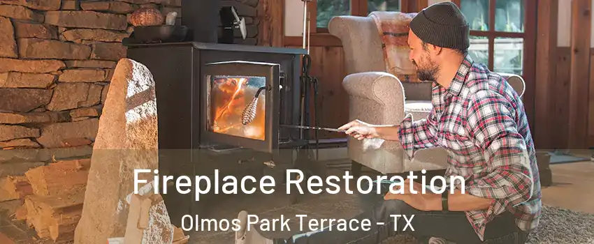Fireplace Restoration Olmos Park Terrace - TX