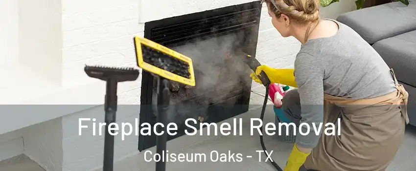 Fireplace Smell Removal Coliseum Oaks - TX