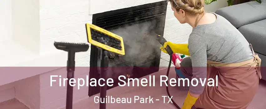 Fireplace Smell Removal Guilbeau Park - TX