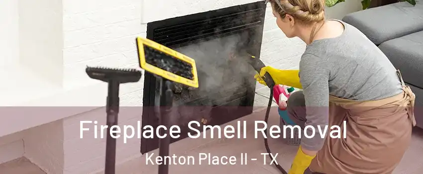Fireplace Smell Removal Kenton Place II - TX