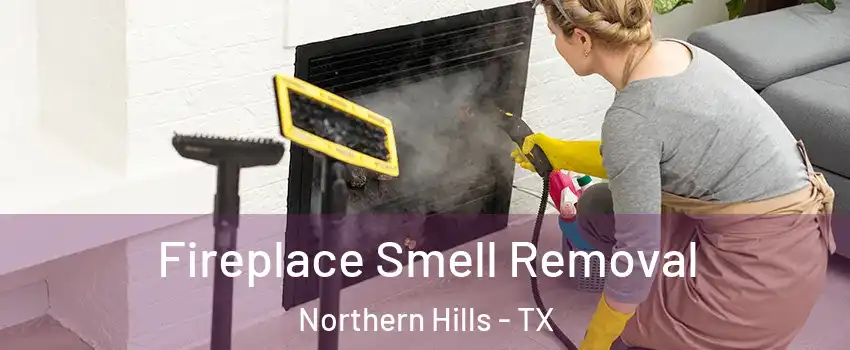 Fireplace Smell Removal Northern Hills - TX