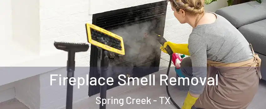 Fireplace Smell Removal Spring Creek - TX