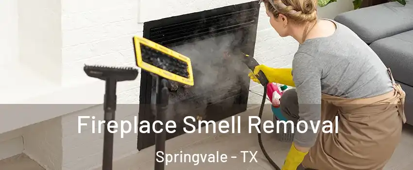 Fireplace Smell Removal Springvale - TX
