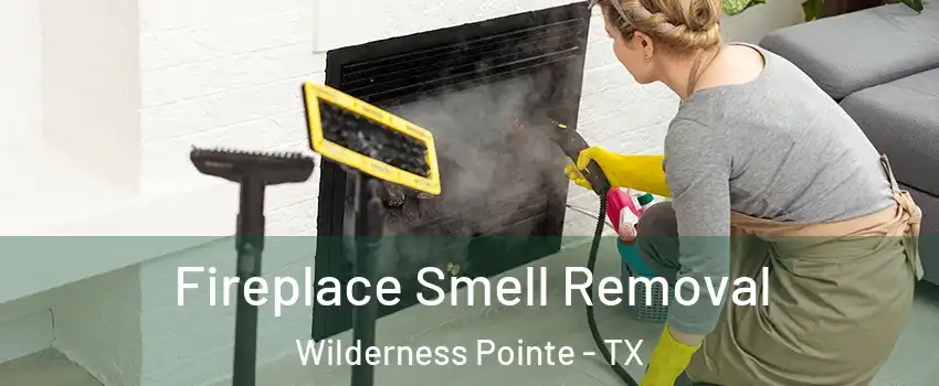 Fireplace Smell Removal Wilderness Pointe - TX