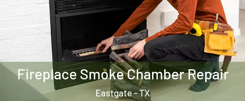 Fireplace Smoke Chamber Repair Eastgate - TX