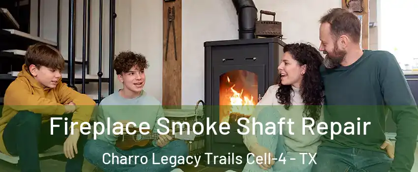 Fireplace Smoke Shaft Repair Charro Legacy Trails Cell-4 - TX