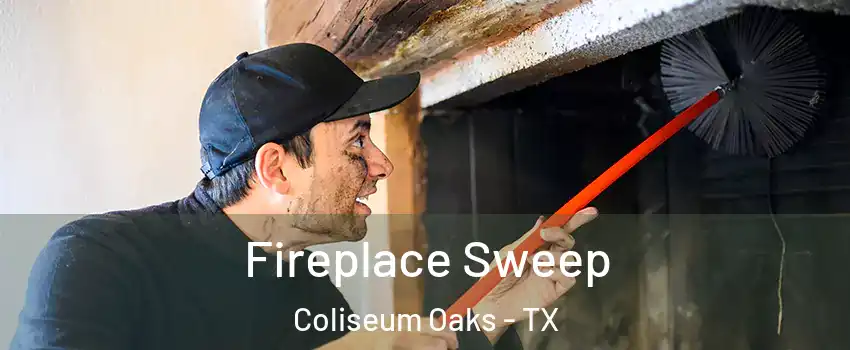 Fireplace Sweep Coliseum Oaks - TX