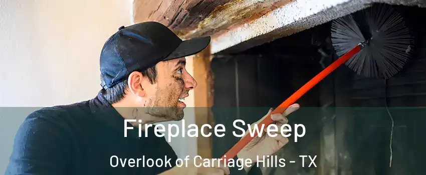 Fireplace Sweep Overlook of Carriage Hills - TX