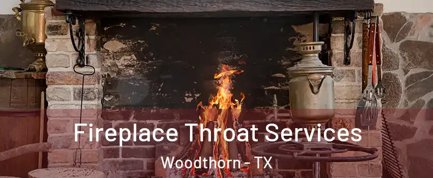 Fireplace Throat Services Woodthorn - TX