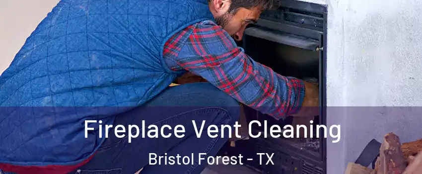 Fireplace Vent Cleaning Bristol Forest - TX