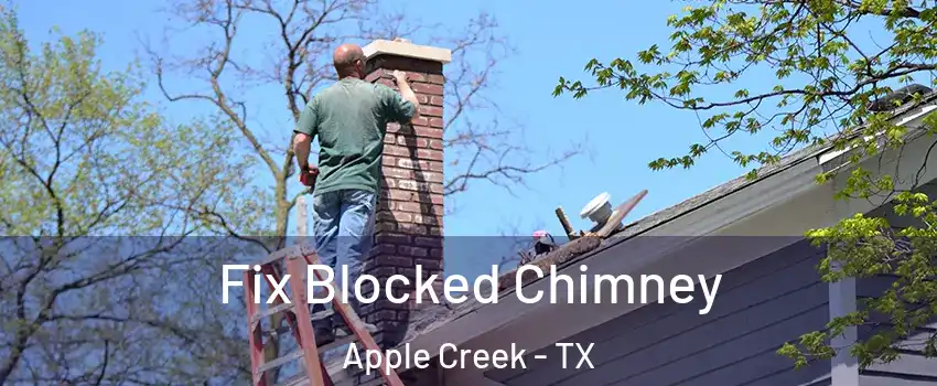 Fix Blocked Chimney Apple Creek - TX