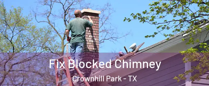 Fix Blocked Chimney Crownhill Park - TX