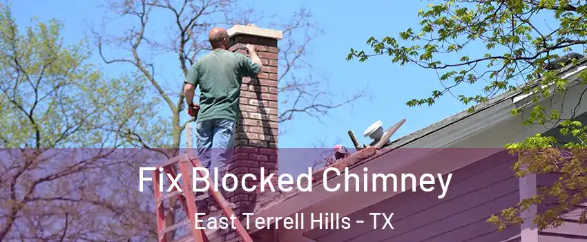 Fix Blocked Chimney East Terrell Hills - TX