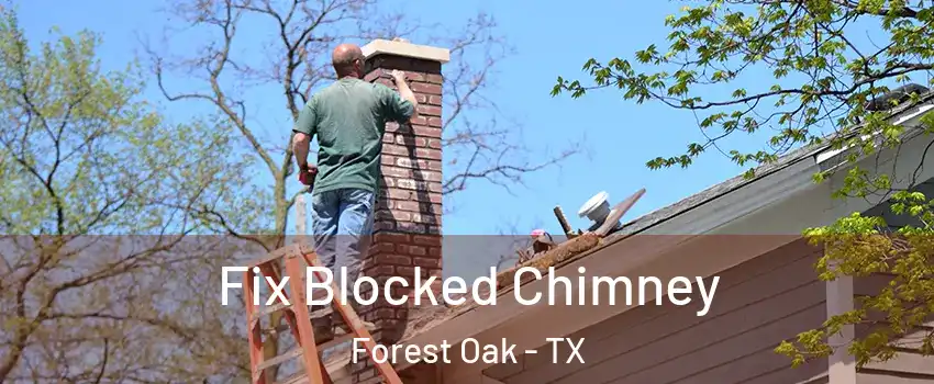 Fix Blocked Chimney Forest Oak - TX