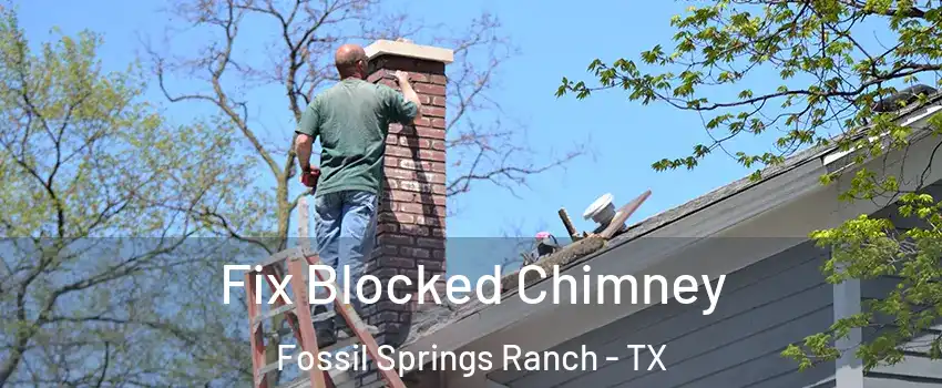 Fix Blocked Chimney Fossil Springs Ranch - TX