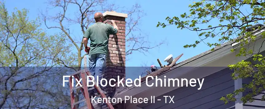 Fix Blocked Chimney Kenton Place II - TX