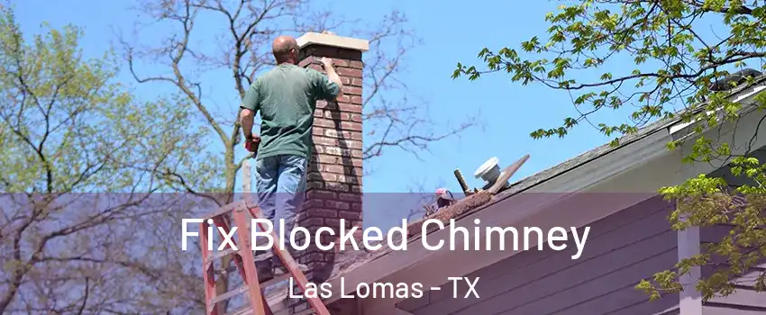 Fix Blocked Chimney Las Lomas - TX