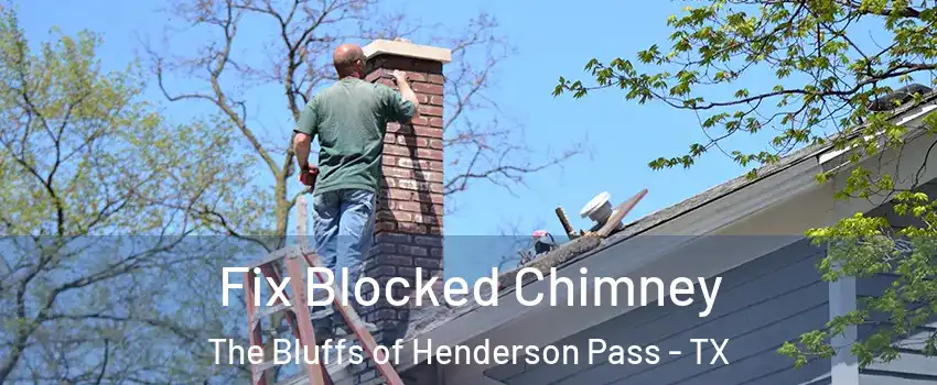 Fix Blocked Chimney The Bluffs of Henderson Pass - TX