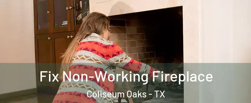 Fix Non-Working Fireplace Coliseum Oaks - TX