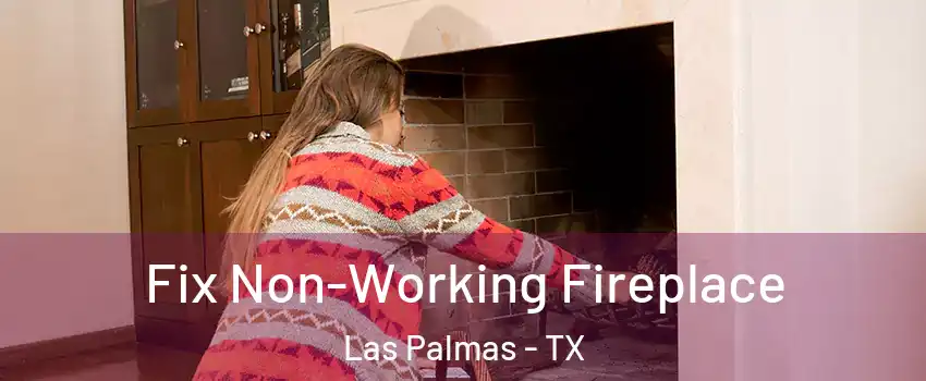 Fix Non-Working Fireplace Las Palmas - TX