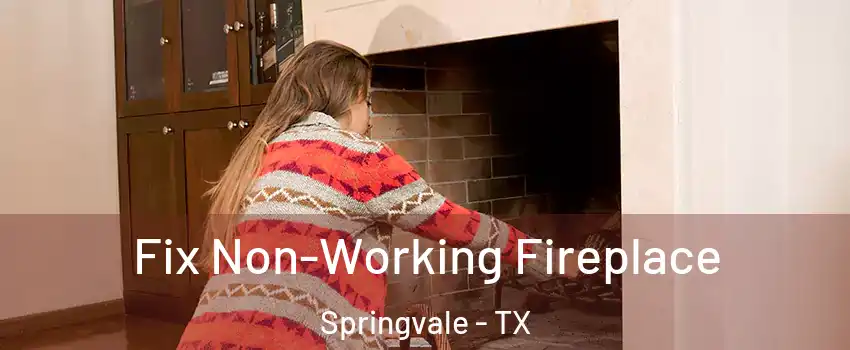 Fix Non-Working Fireplace Springvale - TX